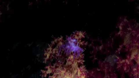 Candy crab on soft coral in Red sea Egypt Video stock 80315488