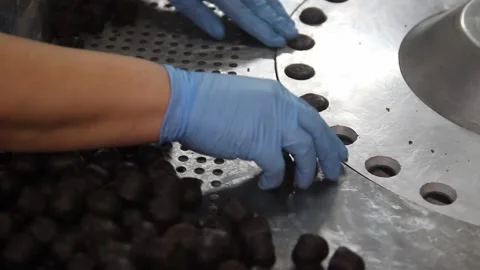 Candy factory Stock Footage 144987544