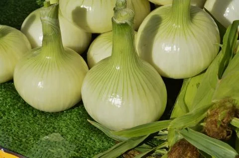 Candy Onions Stock Photos