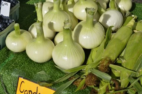 Candy Onions Stock Photos