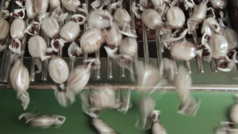 Candy Production Line Stock Footage 157744738