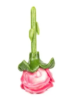 Candy rose from caramel Foto stock