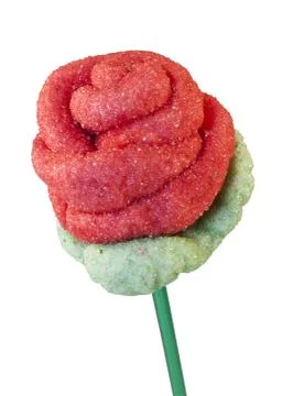 Candy Rose Stock Photos