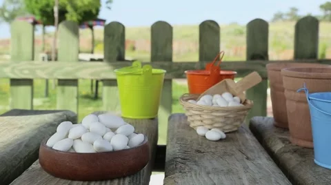 Candy White Sugar natural Stock Footage 67627012