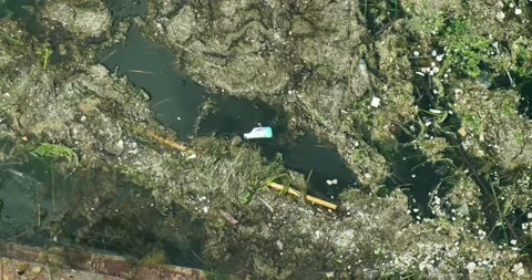 Candy wrap floating on sea surface with dead sea weed. Stock Footage 154265717