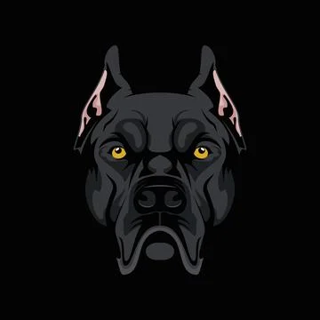 Cane corso dog head logo illustration Stock Illustration