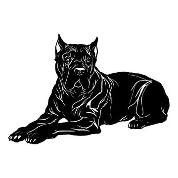 Cane Corso dog - Lying Cane Corso vector stock isolated illustration on white Stock Illustration