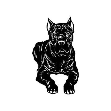 Cane Corso dog - Lying Cane Corso vector stock isolated illustration on white Stock Illustration