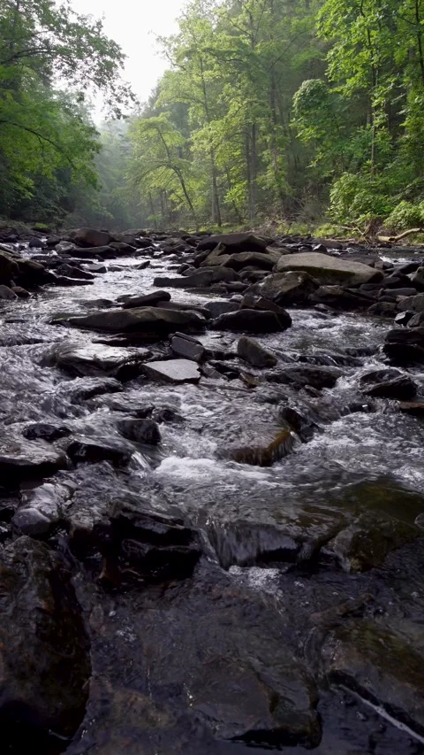 Cane Creek Vertical Stock Footage 245428356