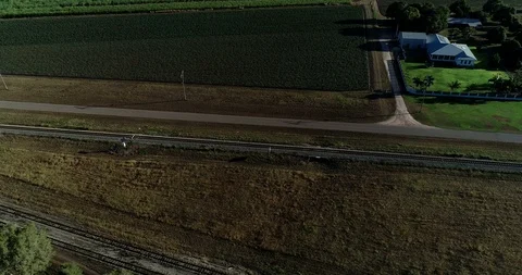 Cane Fields 3 4k Stockbeeldmateriaal 91797937