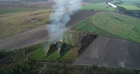 Cane Fire 1 4k Stockbeeldmateriaal 91798958