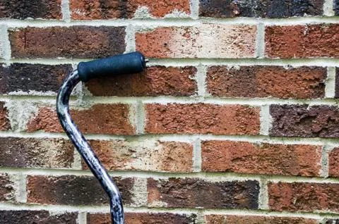 Cane leaning on a brick wall Foto stock