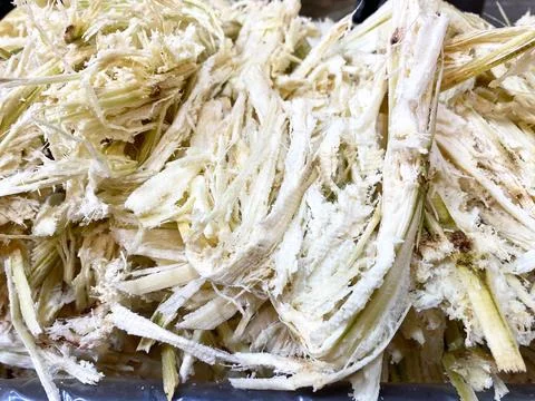 Cane pulp displayed in a pile after extraction from sugarcane, showcasing Stock Photos