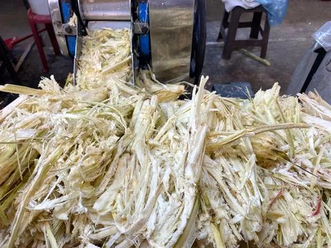 Cane pulp extracted from sugarcane during juice processing, showcasing the Stock Photos