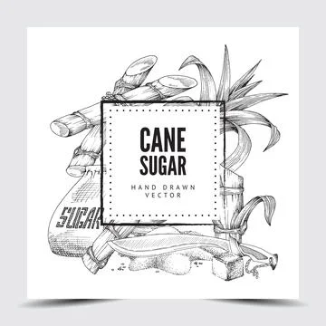 Cane sugar background with frame for text engraved vector illustration isolated. 库存插图
