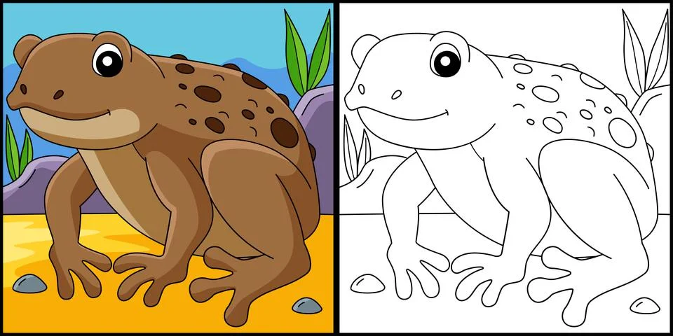 Cane Toad Frog Animal Coloring Page Illustration Stock Illustration