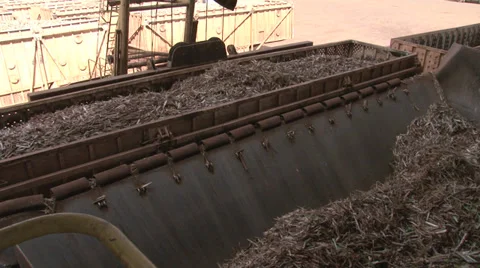 Cane Transport Stock Footage 37841219