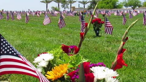 Cane walk Video stock 154918301