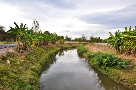 Canel along the road Stock Photos