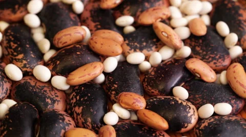Canellini bean, white lima and pinto beans on rotating display- closeup Stock Footage 50972739