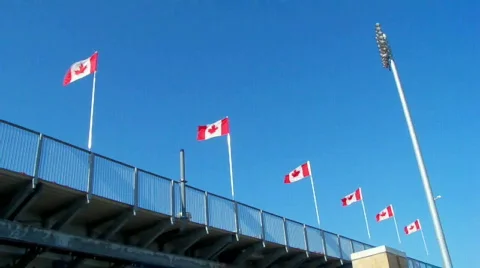 Canflag Stock Footage 512939