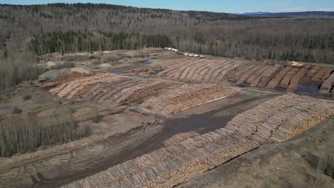 Canfor sawmill log storage yard Stock Footage 251594536