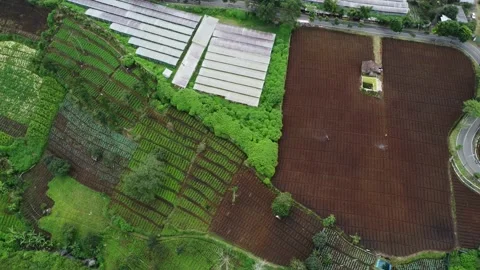 Cangar Farm 스톡 동영상 223377242