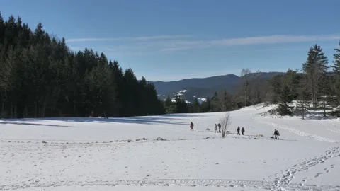 Cani rando shutter Stock Footage 158926249