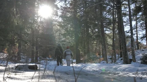 Cani rando shutter Stock Footage 158926302