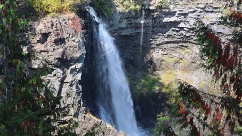 Canin Falls, water falls into a open canyon Stock Footage 251925981