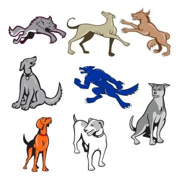 Canine Cartoon Set Stock Illustration