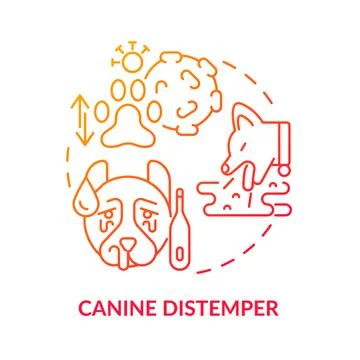 Canine distemper red gradient concept icon Stock Illustration
