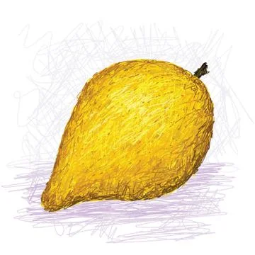 Canistel fruit, eggfruit Stock Illustration
