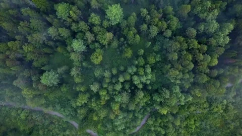 Canital plane in forest with small river Stock Footage 171257597