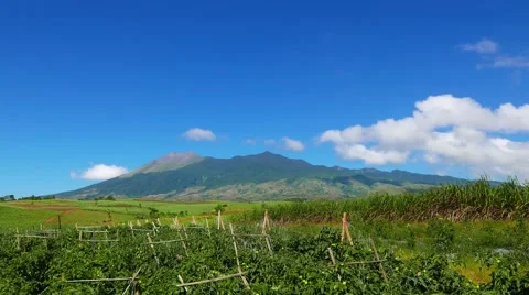 Canlaon Volcano View from Fields Timelapse (4K) Stock Footage 49215283