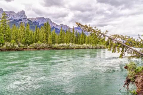 Canmore's Bow River Loop Trail With Mount Rundle in background Stock Photos