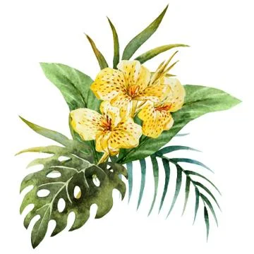 Canna flowers Stock Illustration