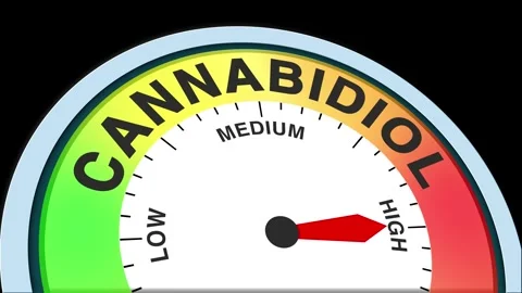 Cannabidiol Level Text or Word  Low and Medium to High Meter Concept Stock Footage 288632721