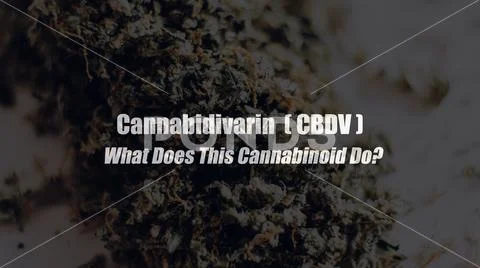 Cannabidivarin (CBDV). What Does This Cannabinoid Do? Marijuana medical eleme Stock Photos