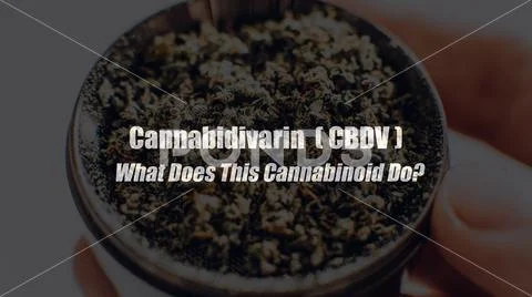 Cannabidivarin (CBDV). What Does This Cannabinoid Do? Marijuana medical eleme Stock Photos