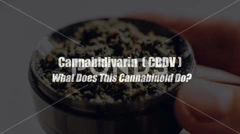Cannabidivarin (CBDV). What Does This Cannabinoid Do? Marijuana medical eleme Stock Photos