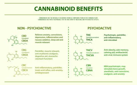 Cannabinoid benefits horizontal infographic Stock Illustration