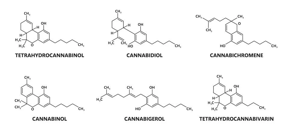Cannabinoid molecule structure, chemical formula Stock Illustration