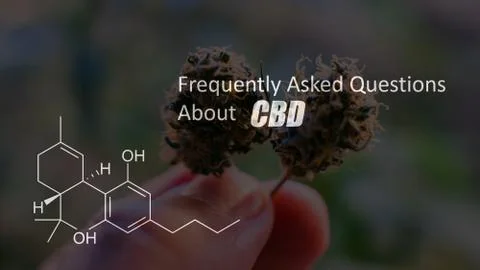 Cannabinoids in marijuana.CBD THC elements Stock Photos