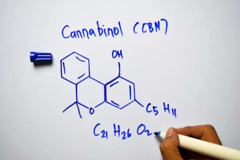 Cannabinol (CBN) molecule written on the white board. Structural chemical Stock Photos
