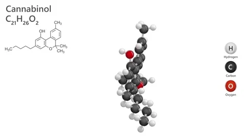 Cannabinol. Drug. 3D model of a molecule. C21H26O2. White background. 3D render Stock Footage 294694138