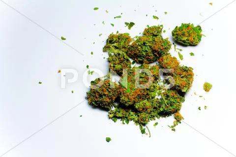 Cannabis 1 Stock Photos