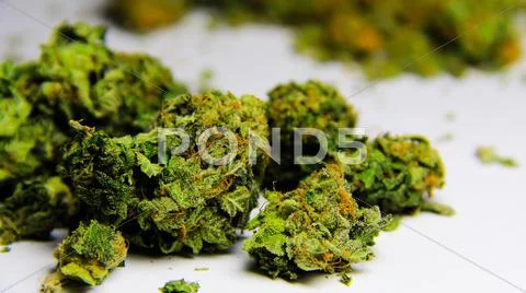 Cannabis 2
