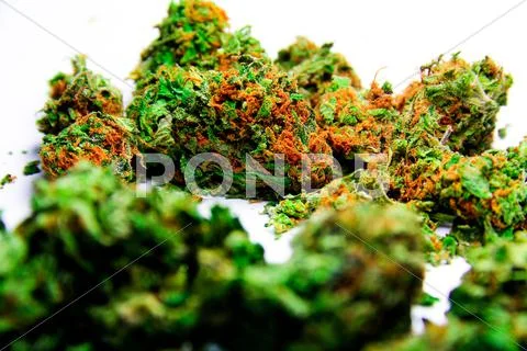 Cannabis 4 Stock Photos