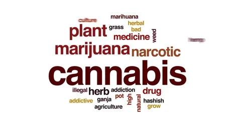 Cannabis animated word cloud, text design animation. Stock Footage 78230948